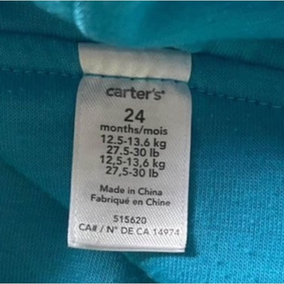 Carter’s Monster Costume - Picture 3 of 3